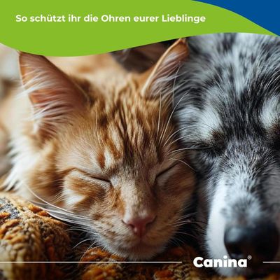 Canina Petvital Ohrentücher