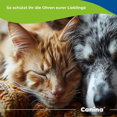 Canina Petvital Ohrentücher