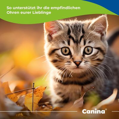 Canina Mikrosilber Ohrenliquid