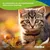 Canina Mikrosilber Ohrenliquid Canina Mikrosilber Ohrenliquid