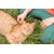 Canina Mikrosilber Ohrenliquid Canina Mikrosilber Ohrenliquid