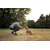 Canina Senior Vital Canina Senior Vital