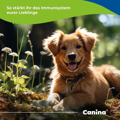 Canina Immun-Booster Paste