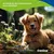 Canina Immun-Booster Paste Canina Immun-Booster Paste