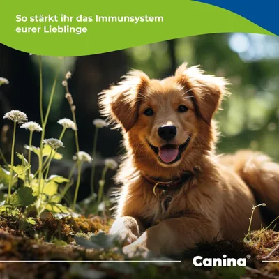 Canina Immun-Booster Paste Canina Immun-Booster Paste