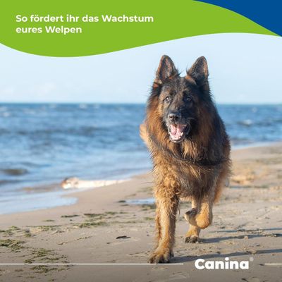 Canina Welpenkalk Tabletten