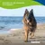 Canina Welpenkalk Tabletten