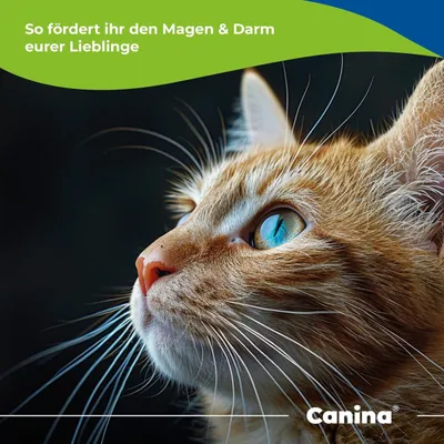 Canina Moortränke Canina Moortränke