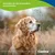 Canina V25 Vitamintabletten 200g