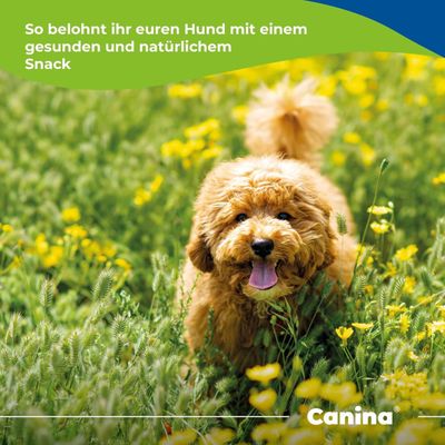 Canina Hanf Sticks