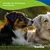 Canina Calcium Carbonat Tabletten Canina Calcium Carbonat Tabletten