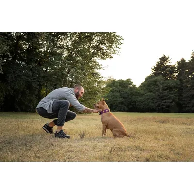 Canina Senior Vital Canina Senior Vital