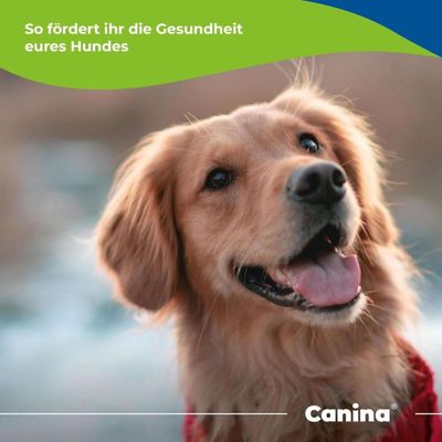 Canina Canipulver