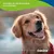 Canina Canipulver Canina Canipulver