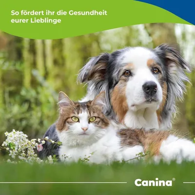 Canina Seealgenmehl Canina Seealgenmehl