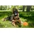 Canina Barfers Oil Canina Barfers Oil