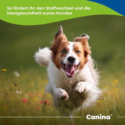 Canina Barfers Oil