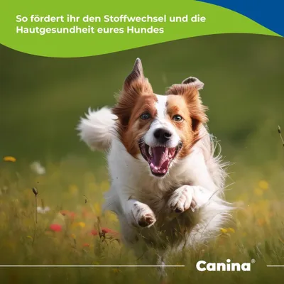 Canina Barfers Oil Canina Barfers Oil