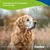 Canina V25 Vitamintabletten 100g Canina V25 Vitamintabletten 100g
