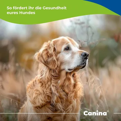 Canina V25 Vitamintabletten 100g Canina V25 Vitamintabletten 100g