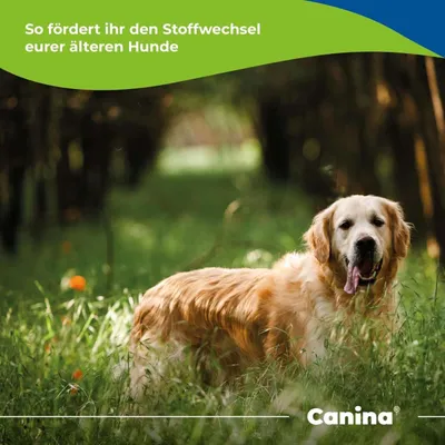 Canina Barfers Best Senior Canina Barfers Best Senior