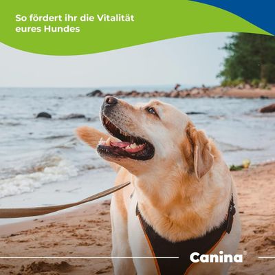Canina Knoblauch Tabletten