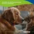 Canina Seealgen Tabletten Canina Seealgen Tabletten