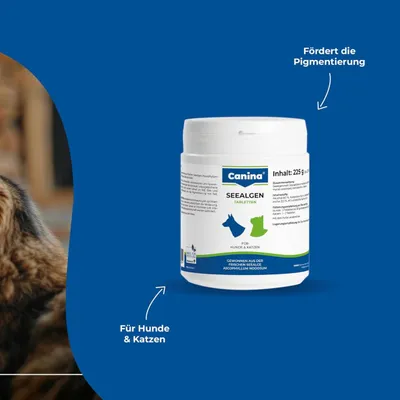 Canina Seealgen Tabletten Canina Seealgen Tabletten