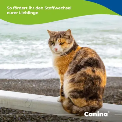 Canina Lachsöl Canina Lachsöl