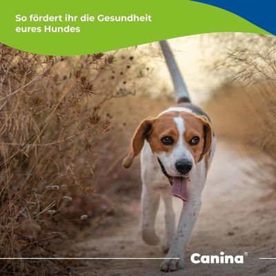 Canina Calcina Fleischknochenmehl