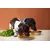 Canina Barfers Best Junior Canina Barfers Best Junior