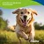 Canina Barfers Best Junior Canina Barfers Best Junior