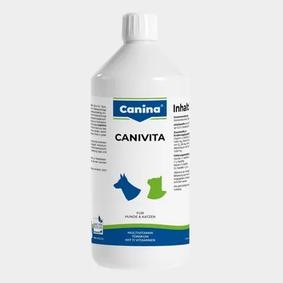 Canina Canivita Canina Canivita