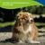 Canina Petvital Darmgel Canina Petvital Darmgel