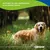 Canina Barfers Best Senior Canina Barfers Best Senior