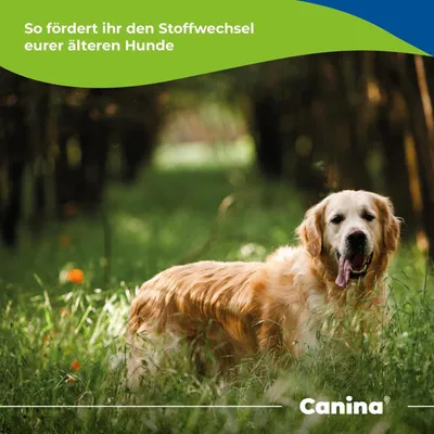 Canina Barfers Best Senior Canina Barfers Best Senior
