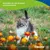 Canina Velox Gelenkenergie Canina Velox Gelenkenergie