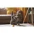 Canina Velox Gelenkenergie Canina Velox Gelenkenergie