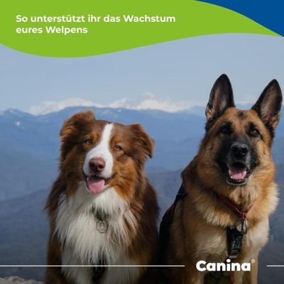 Canina Welpenkalk Pulver