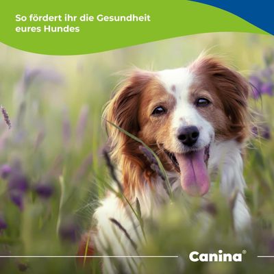 Canina Caniletten