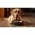 Canina Barfers Best Senior Canina Barfers Best Senior