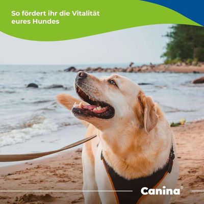 Canina Knoblauch Tabletten