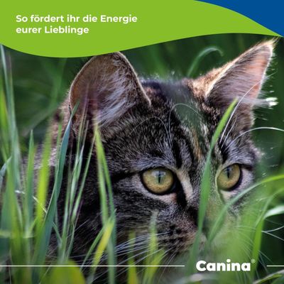Canina Rinderfett Pulver