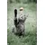Canina Rinderfett Pulver Canina Rinderfett Pulver