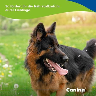 Canina Petvital Energy-Gel