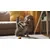 Canina Velox Gelenkenergie 400g Canina Velox Gelenkenergie 400g