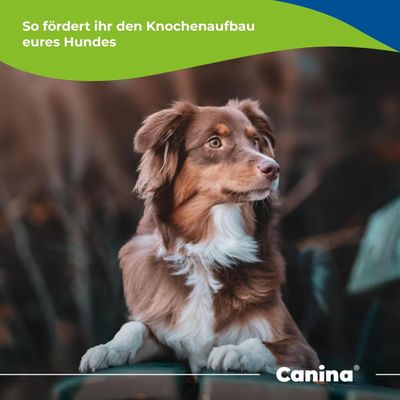 Canina Calcium Carbonat Pulver
