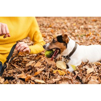 Canina Calcium Carbonat Pulver