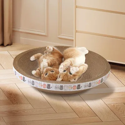 Griffoir pour Chat Planche À Gratter pour Chat Griffoir Griffoir pour Chat Planche À Gratter pour Chat Griffoir