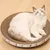 Griffoir pour Chat Planche À Gratter pour Chat Griffoir Griffoir pour Chat Planche À Gratter pour Chat Griffoir